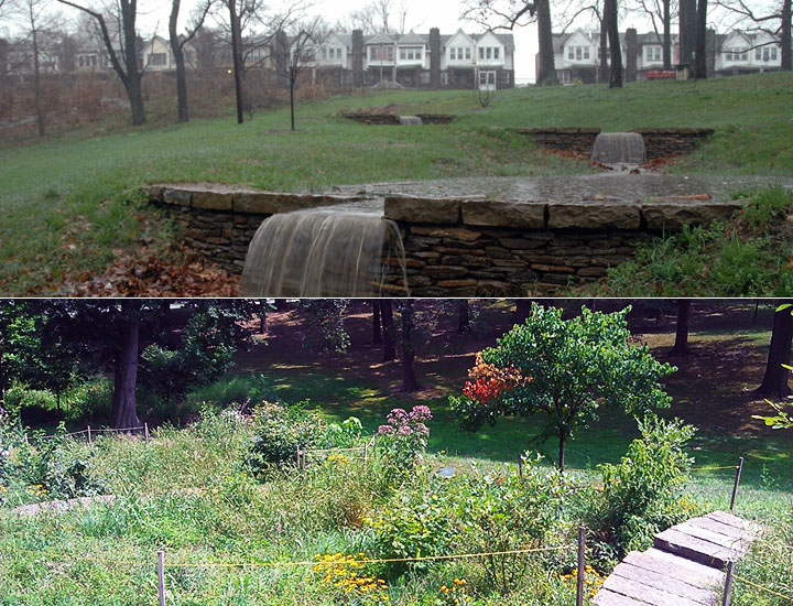 The terraced rain gardens of Cliveden Park in fall (top) and spring. The structures provide beautiful landscaping while managing stormwater from nearby streets and protecting local streams. Credit: Philadelphia Water