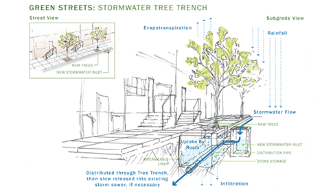 This illustration shows how stormwater tree trenches, an important tool in the Green City, Clean Waters plan, work. Plans are under way to install these tools in the neighborhood around Fotterall Square and Vandergrift/Danny Boyle Park. Credit: Philadelphia Water.