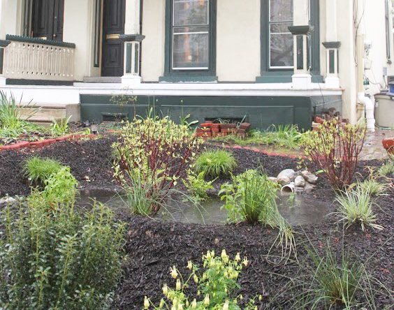 A rain garden installed by Rain Check contractors. We're looking for qualified contractors to install these stormwater tools. Credit: Philadelphia Water