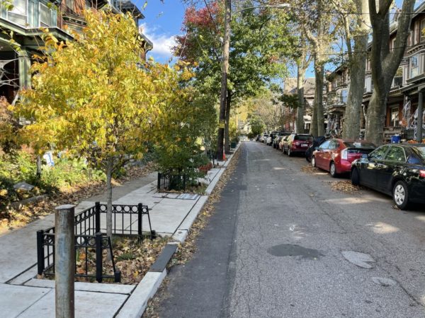 looking down a street with rowhomes on both sides. On the right, mature trees shade parked cars. On the left side there is a row of younger trees between the street and sidewalk, each guarded by a little knee-high decorative fence, and the stomwater inlets are visible at the curb, letting runoff from the street into the tree trench.