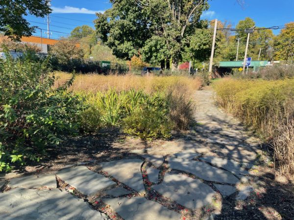 a vacant lot converted into a rain garden includes a stone path cutting across diagonally as a shortcut to the SEPTA station on the other side 
