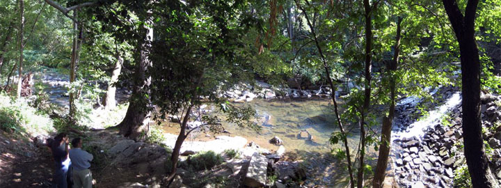 Image of trees, rocks and a shallow creek or other body of water, with two people in the foreground
