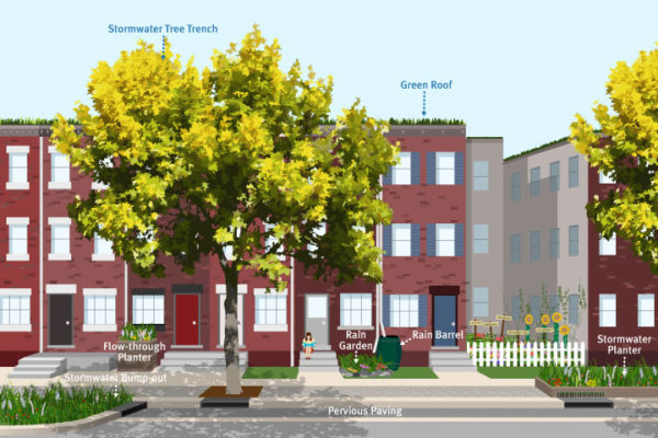 illustration showing the street view of a block of Philly row homes, with a nice variety of green tools, from permeable pavement on the street and sidewalk to a bumpout, stormwater planter, and tree trench along the curb, a flow-through downspout planter, rain barrel, and small rain garden between the sidewalk and the homes, and even a green roof on top!