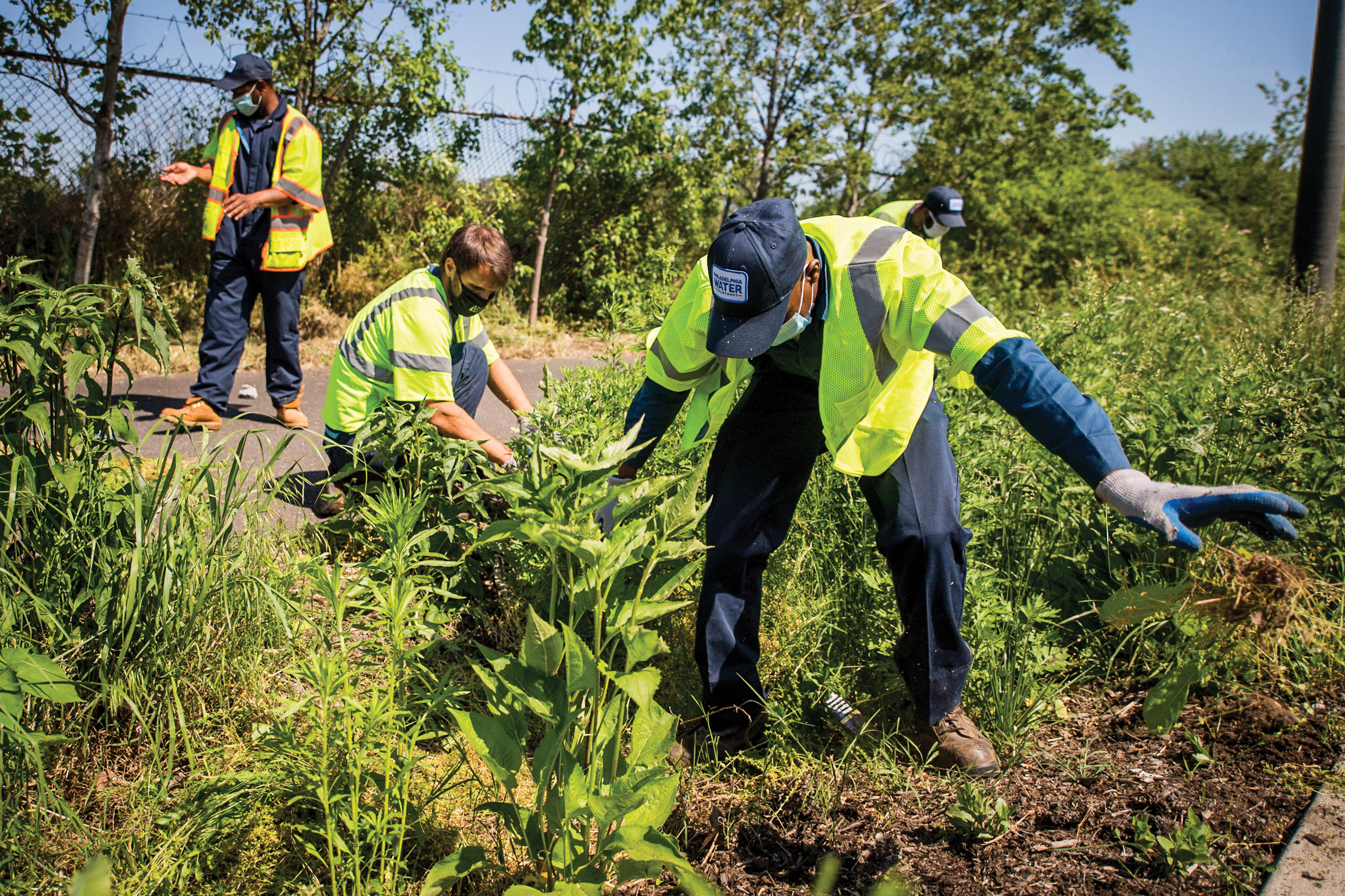 Members of the Green Stormwater Operations unit in blue shirts, pants, and hats, along with neon yellow safety vests, work gloves, and boots, pull weeds and check on plantings in a rain garden.