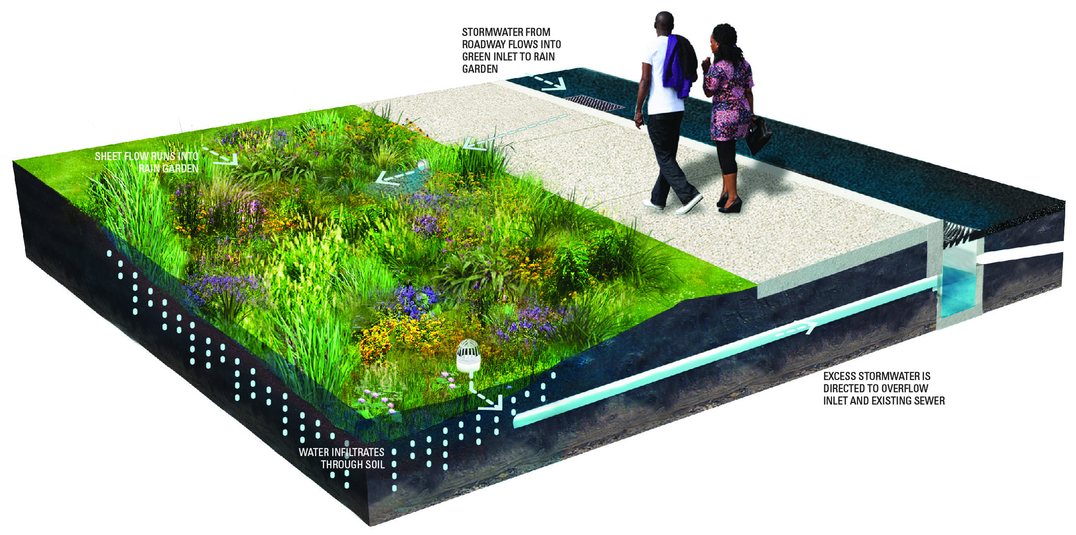 Rain Gardens – Green Stormwater Infrastructure