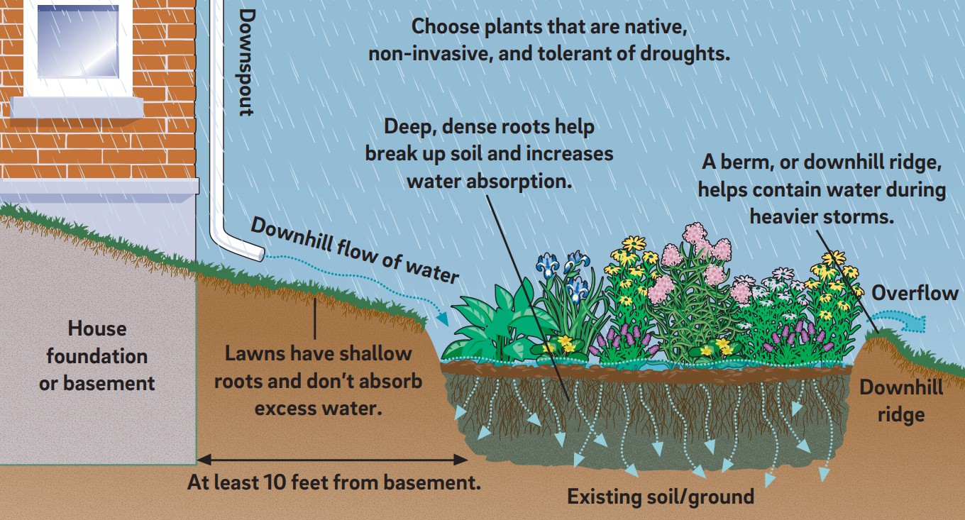 I. Introduction to Rain Gardens for Water Absorption