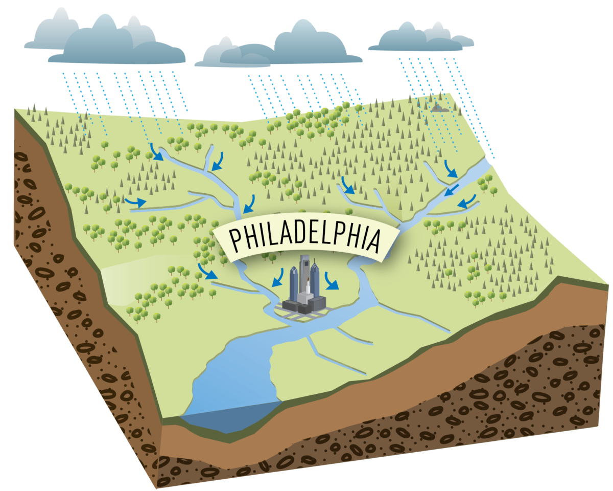 A simple cutaway diagram of the land around Philadelphia shows it raining on hills and land at higher elevation, flowing downhill until it collects in the nearest creek or stream. Those waterways keep flowing downhill, joining larger creeks and rivers. Philadelphia is at the intersection of two of these rivers, where the Schuylkill joins the Delaware, so all the rainwater from the city and areas upstream that wasn't absorbed into the ground ends up in our rivers.