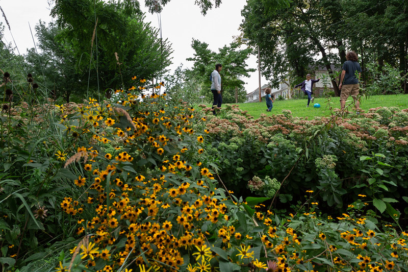 photo of a rain garden - black-eyed susan flowers fill the foreground, trees and rowhomes are visible in the background, and a family stands in a grassy area between kicking a ball around.