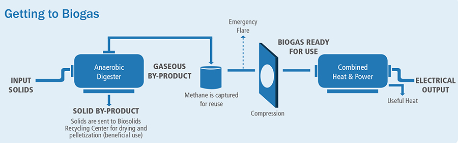 Biogas Cogeneration Diagram