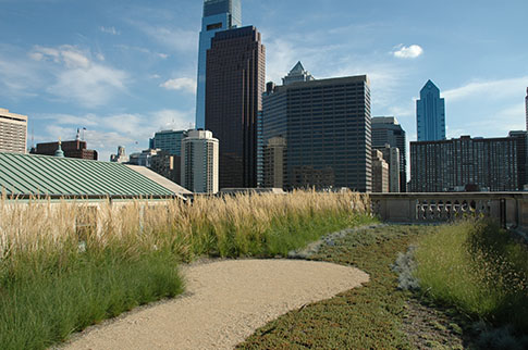 The Philadelphia skyline frames a stormwater-fighting green roof on the Free Library of Philadelphia.