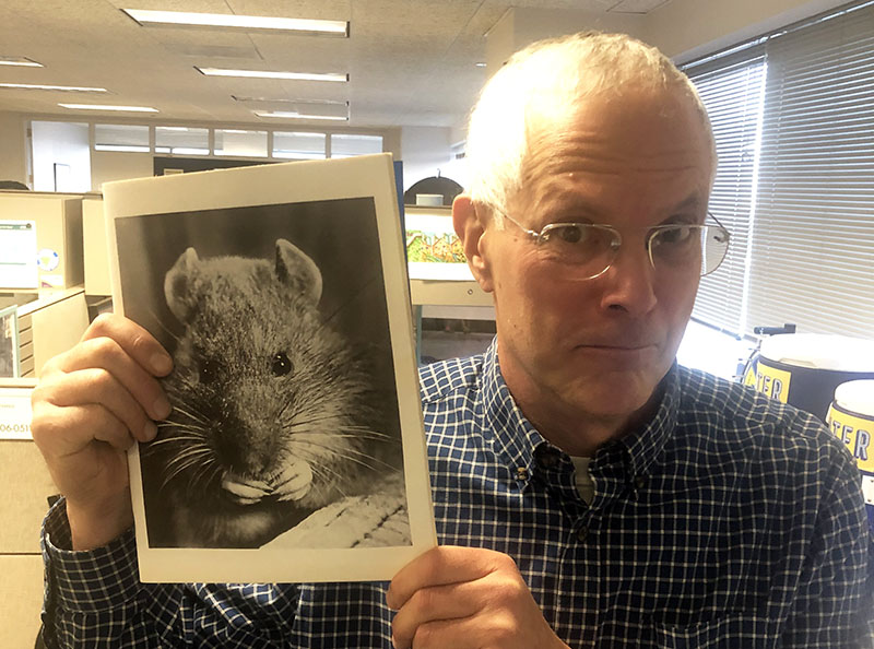 Photo of Adam Levine, PWD historian, wide-eyed and with lips pursed, holding up a copy of the 1971 Rat Control Report, featuring a large black and white close-up photo of a rat.