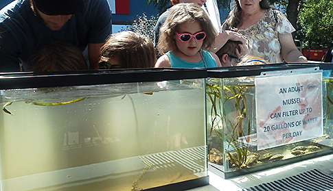 Families check out how freshwater mussels filter water at temporary exhibit by the PDE. Soon, the Water Works will have a 530-square-foot mussel hatchery.