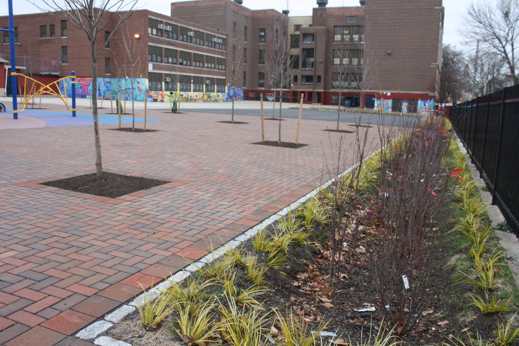 Trees, permeable pavement and a rain garden all make the Lea schoolyard a better place for kids and Philadelphia’s waterways. Credit: West Philadelphia Coalition for Neighborhood Schools