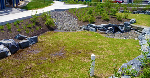 A Green City, Clean Waters rain garden along Stenton Avenue. Credit: Philadelphia Water