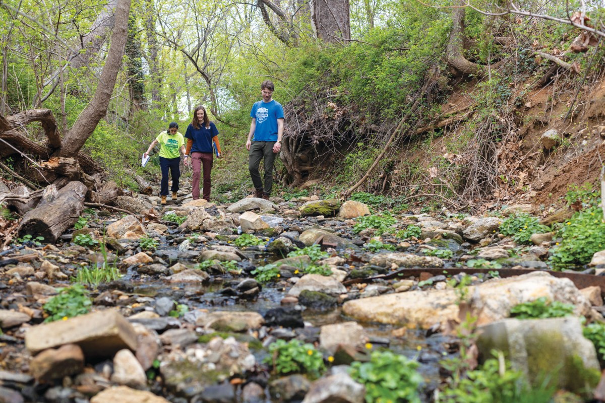 Three PWD team members walk along the bed of a shallow creek, monitoring the condition of the tributary before it joins a larger waterway upstream of our plant intakes.