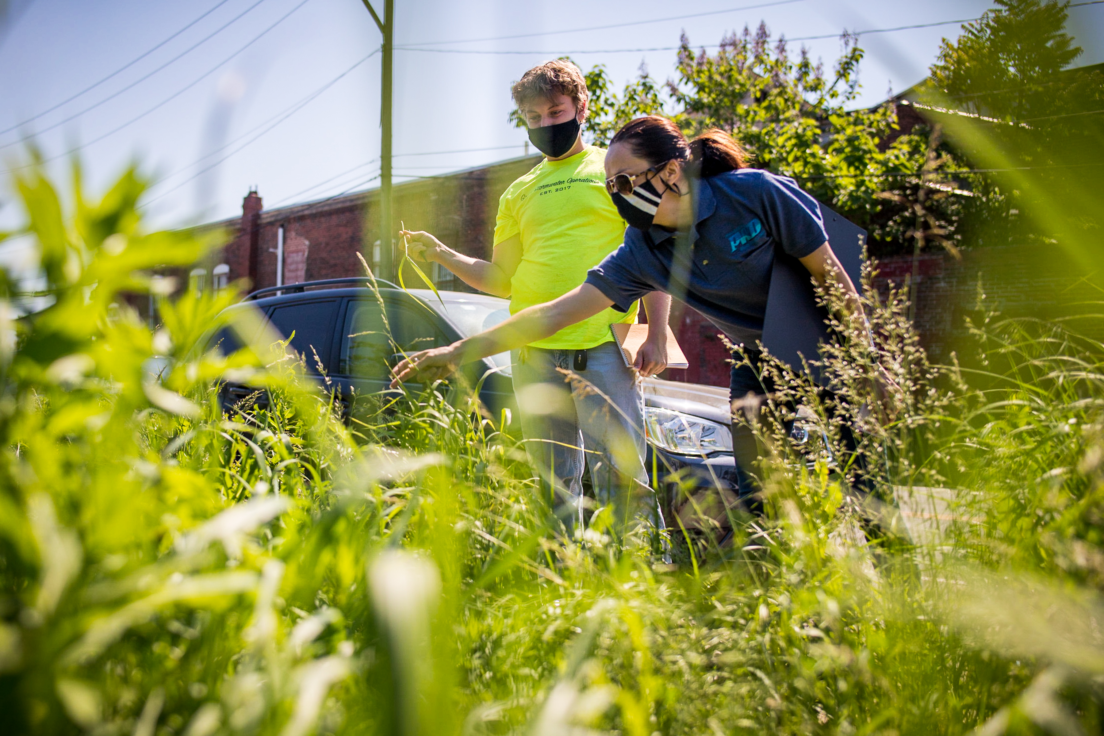 Two PWD employees examine the plants in a green stormwater management tool. One has short, light brown hair, wears a black face mask and a vibrant safety yellow Green Stormwater Operations team t-shirt. The other has long dark hair pulled back into a ponytail, wears sunglasses, a black face mask with white diagonal stripes, and a blue polo with the old PWD logo embroidered on the chest. Both are wearing blue jeans and hold notebooks, as the one in the blue polo leans over to point at something. The camera is held low among the plants so some grasses and other plants are out of focus in the foreground.