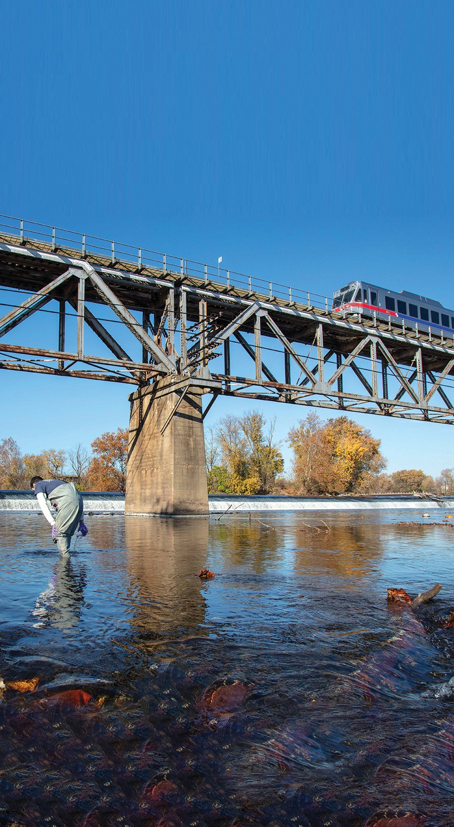 Looking upstream on the Schuylkill River between Bridgeport and Norristown, PA, as a single car on the Norristown High Speed Line crosses the train bridge. A couple PWD employee in waders stands in shallow water collecting samples to test for PFAS.