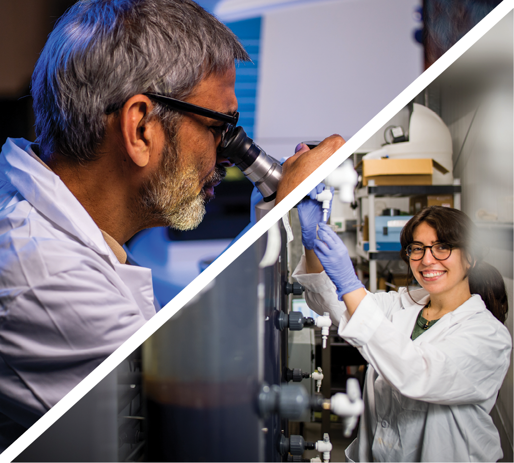 divided into two triangles: The upper/left half shows a scientist with short salt and pepper hair and beard, wearing black glasses and a white lab coat, looking into a microscope. The lower/right triangle shows a scientist with long dark hair in a ponytail, wearing glasses, a white lab coat, and purple gloves, pausing while adjusting some machinery to smile at the camera.