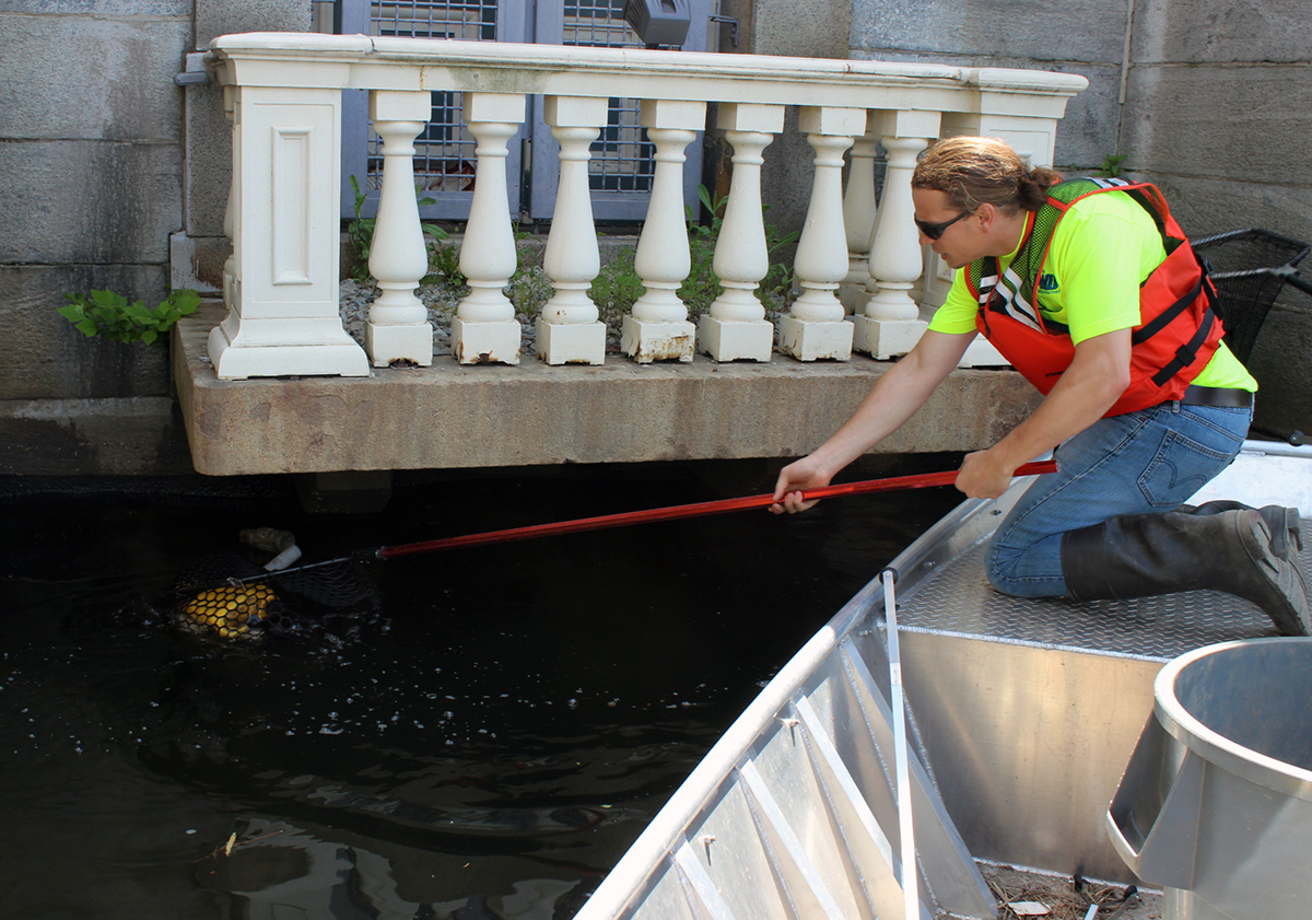 Rick Anthes skims the water by the Fairmount Water Works, collecting hard to reach trash from the Schuylkill River. Credit: Brian Rademaekers 